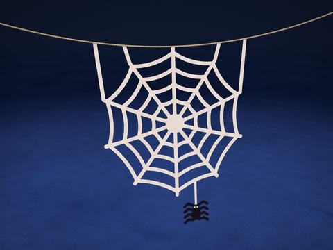 Cobweb with a Spider