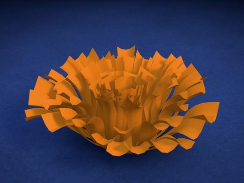 Pompón de cempasúchil