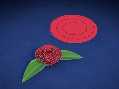 Rosa en espiral